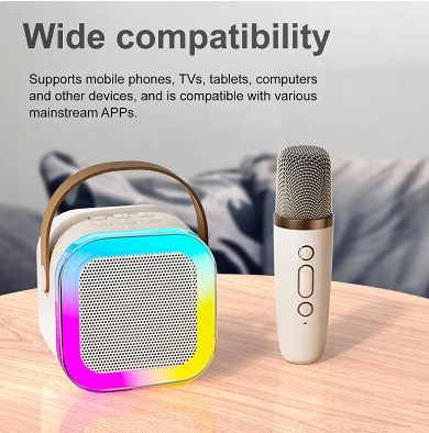 Portable Mini Karaoke